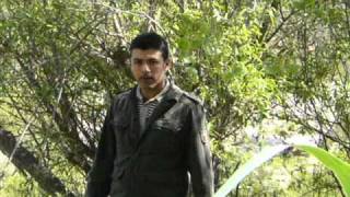 ando en busca de el amor- valentin