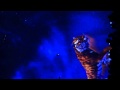 Bubble Show MP4