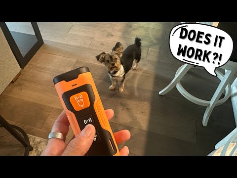 Dog Bark Deterrent - Ultrasonic Training Device for Own or Neighbor's Dog Review