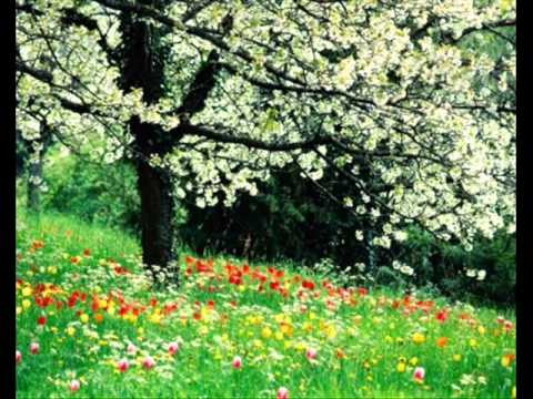 Bob Sinclair ft Ben Onono - Rainbow Of Love