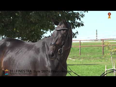 31 Finestra v. Finest - Weyden  *MARBACHER WOCHENENDE 2020*