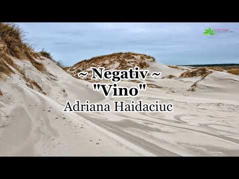 Negativ - Vino - Adriana Haidaciuc [NOU 2023]