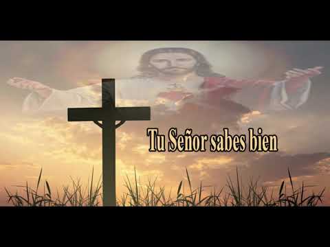 Tu Señor sabes bien (Letra)