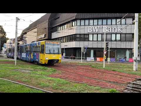 Stuttgarts schönste Stadtbahn | Allianz MTV Stuttgart x SSB | Bad Cannstatt „Wilhelmsplatz“