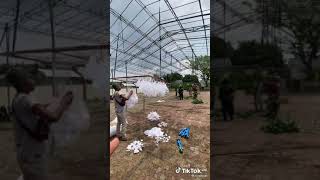 Download lagu Pemasangan Tenda Roder Dekorasi Pernikahan #Shorts mp3