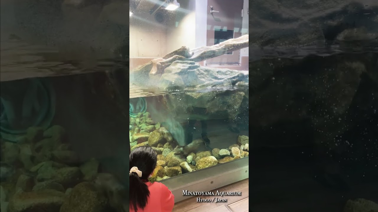 YouTube Short thumbnail