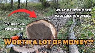 Are your trees worth a lot of money?