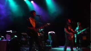 All About Steve - Tourterelle