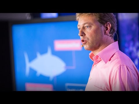 The case for fish farming | Mike Velings