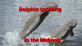 DOLPHIN WATCHING 4000 ISLANDS | LAOS TRAVEL VLOG