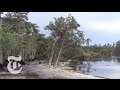 Sinkhole in Louisiana Swallows Trees - Caught on Tape 2013 | The New York Times Sinkhole in Louisiana Swallows Trees - Caught on Tape 2013 | The New York Times