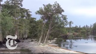 Sinkhole in Louisiana Swallows Trees - Caught on Tape 2013