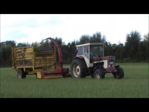 Landb. Bulckaert - Vlamertinge