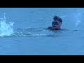 Gator Boys Paul Bedard Rescues An Alligator Filmed With Multiple Camera Angles