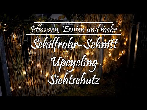 Schilfrohrschnitt Upcycling - Sichtschutz selber machen - Gartensaison 2022