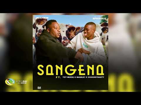 Pushkin RSA and Springle - Sangena [Feat. Mankay & Choco Dynasty and T&T Muziq] (Official Audio)