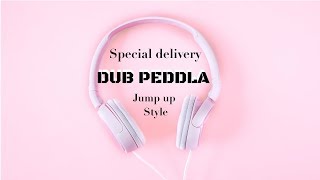 🎼Special delivery  DUB PEDDLA Massive Jump up