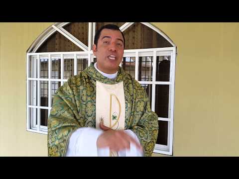 Homilia del Padre Jorge del domingo 12 de julio de 2015