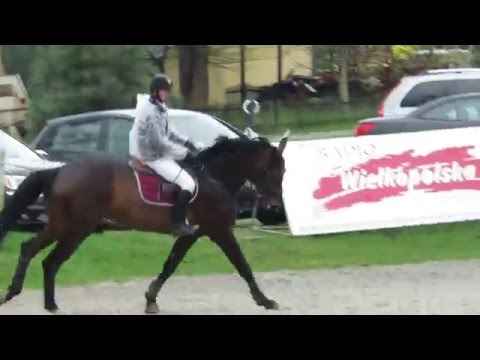 17.04.16r ( Connor/Casall-Cassini II )