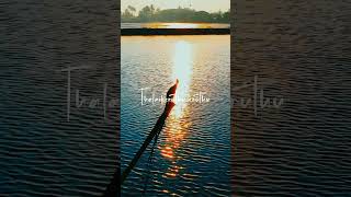Download lagu 💖Oosi mazha thuruthu thuruthu❣️ || Tamil song #whatsappstatus #lovesong mp3