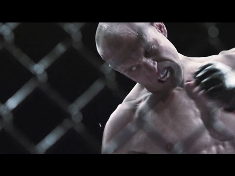 Donald Cerrone Fight In The Works For UFC 206