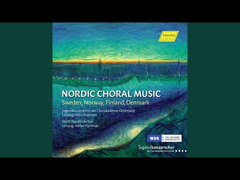 Canticum calamitatis maritimae