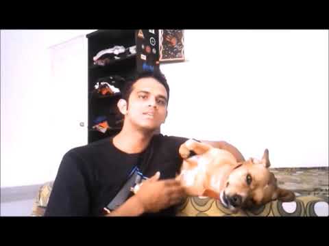 CARE Indie Appreciation Week  Akarsh R