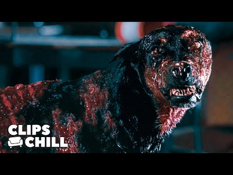 Jill Escapes Rabid Zombie Hounds | Resident Evil: Apocalypse (Milla Jovovich)