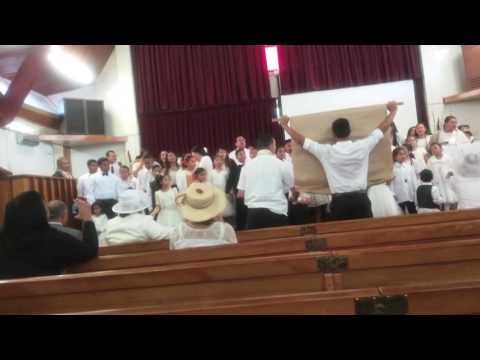 * * * NIUEAN WHITE SUNDAY - V3 HAKUPU ATUA (NZ) * * *