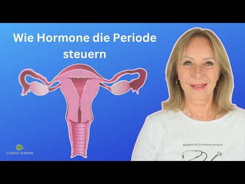Menstruationszyklus: Das geheime Leben der Hormone