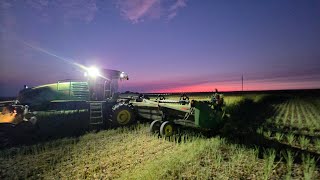 Swathing canola in the south 