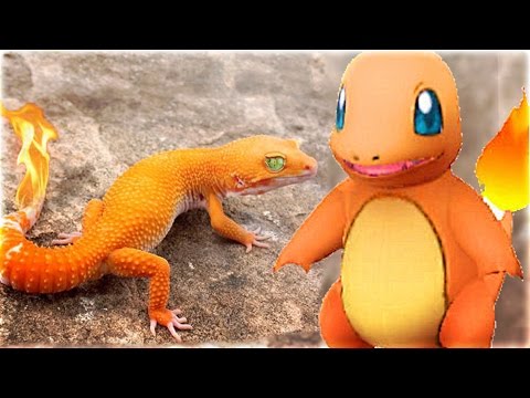 Top 10 Pokemon That ACTUALLY Exist In Real Life (Pokemon GO In Real Life)