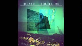 Toro Y Moi - Lissoms