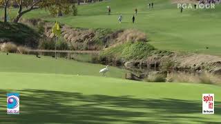 Great Golf Wedge Shots of Molinari, Woods and Fowler - SDG Series