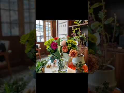 2023 02 01 Ônibus de rota Shanghai 47 (Changchun Gongji ~ Livraria Uchiyama ~ ​​Distrito de Liyang)