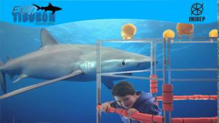 DIA 3 Expo Tiburon55