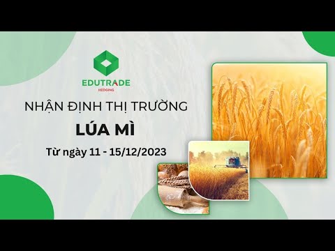 Nhận Định Thị Trường - Lúa mì (Ngày 11 - 15/12/2023 )