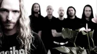 Dark Tranquility Therein