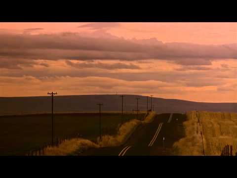 Cattle Call - My Own Private Idaho (1991)