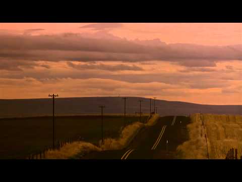 Cattle Call - My Own Private Idaho (1991)