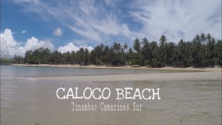 preview picture of video 'CALOCO BEACH'