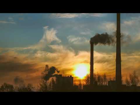 To co nas otacza 2020