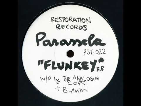 B1. Parassela (The Analogue Cops + Blawan) - DGM [RST 022]