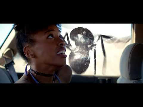 Dead Ant (Trailer)