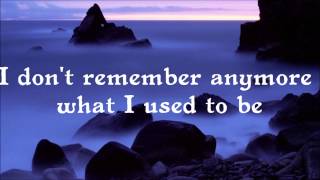 I Had This Thing (Lyrics) - Royksopp ft. Jamie Irrepressible