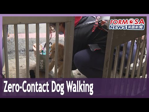 Zero-contact dog walking service takes off as COVID cases ...