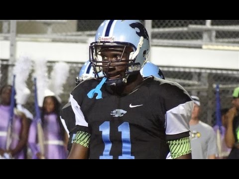 2015 WR Preston Williams 2014 season highlight remix