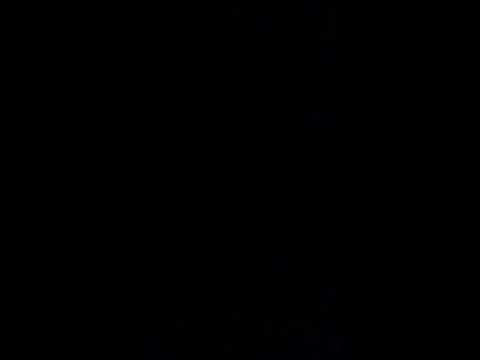 Fuck The System, We The People