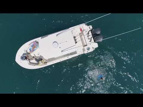 Boat Show Friday - Sea Born SX281 Offshore