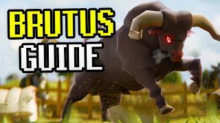 Brutus Quick Guide - New OSRS Cow Boss - (Low/Med/High Level &amp; Budget Setup and Speed Trial)